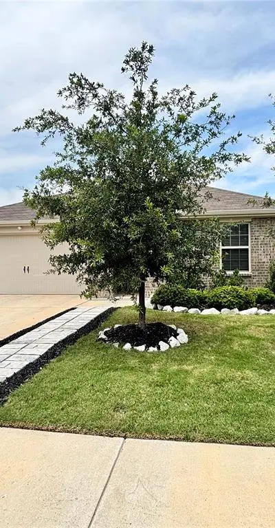 2957 Shoemaker Drive, Josephine TX 75189 - Photo 4