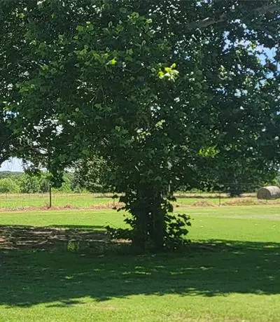 5050 Paluxy Highway, Granbury TX 76048 - Photo 3