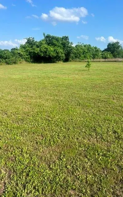 10755 Lakeside Drive, Kemp TX 75143 - Photo 5