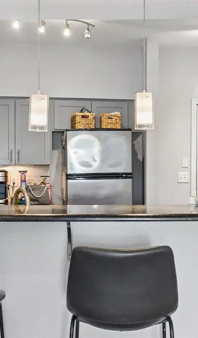 3102 Kings Road # 1211, Dallas TX 75219 - Photo 5