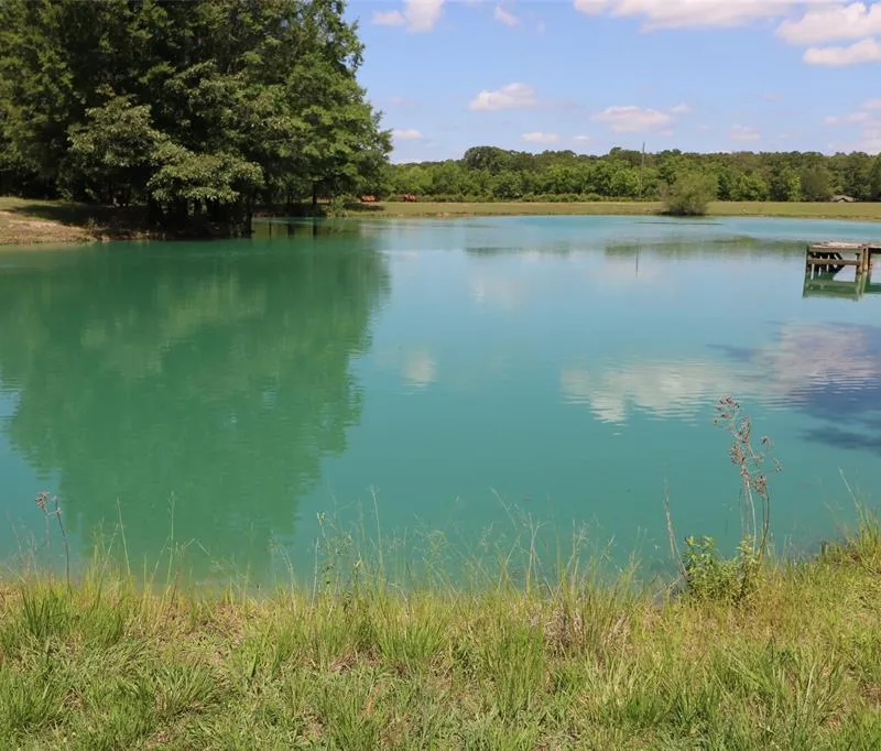 11083 Farm Road 1502, Paris TX 75462