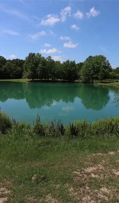 11083 Farm Road 1502, Paris TX 75462 - Photo 3