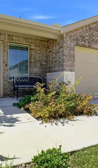 162 Greengate Drive, Boyd TX 76023 - Photo 3