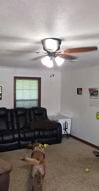 27513 State Highway 56, Whitesboro TX 76273 - Photo 5