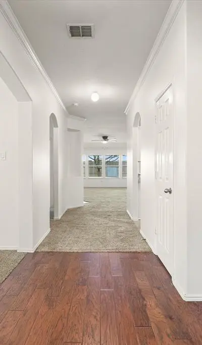 3905 Poplar Point Drive, Rockwall TX 75032 - Photo 3