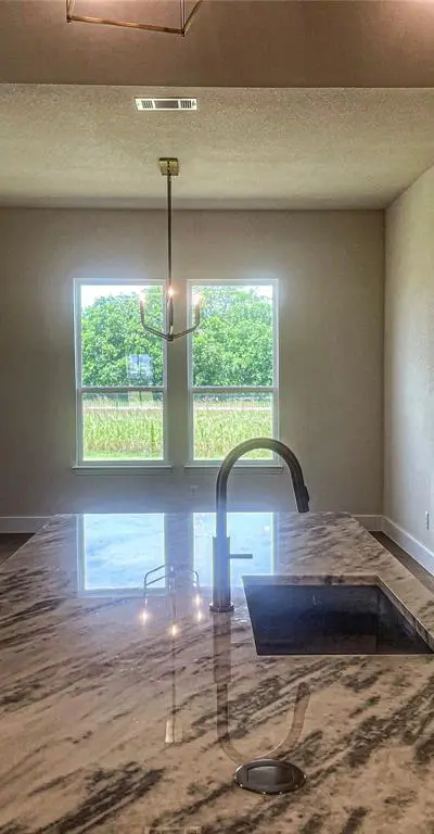 117 Aiden Drive, Waxahachie TX 75165 - Photo 5