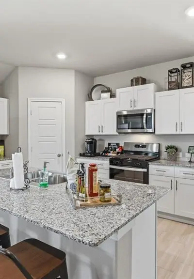 16717 HUDSON PRAIRIE Way, Fort Worth TX 76247 - Photo 3