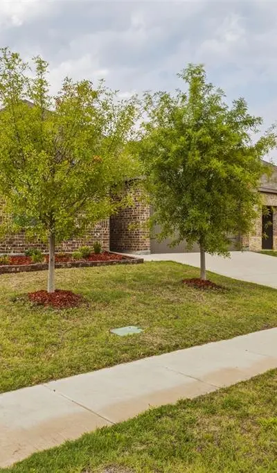 1210 Grand View Drive, Ennis TX 75119 - Photo 3