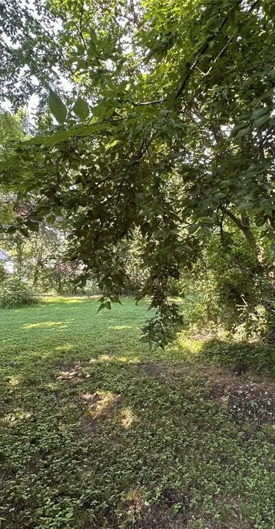 420 E Denton Street, Howe TX 75459 - Photo 4