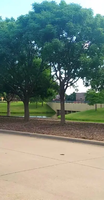 1229 Ducks Landing, Frisco TX 75033 - Photo 4